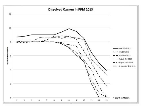 2013 Dissolved Oxygen