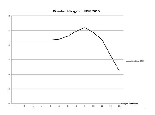 2015 Dissolved Oxygen