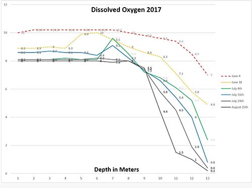 2017 Dissolved Oxygen