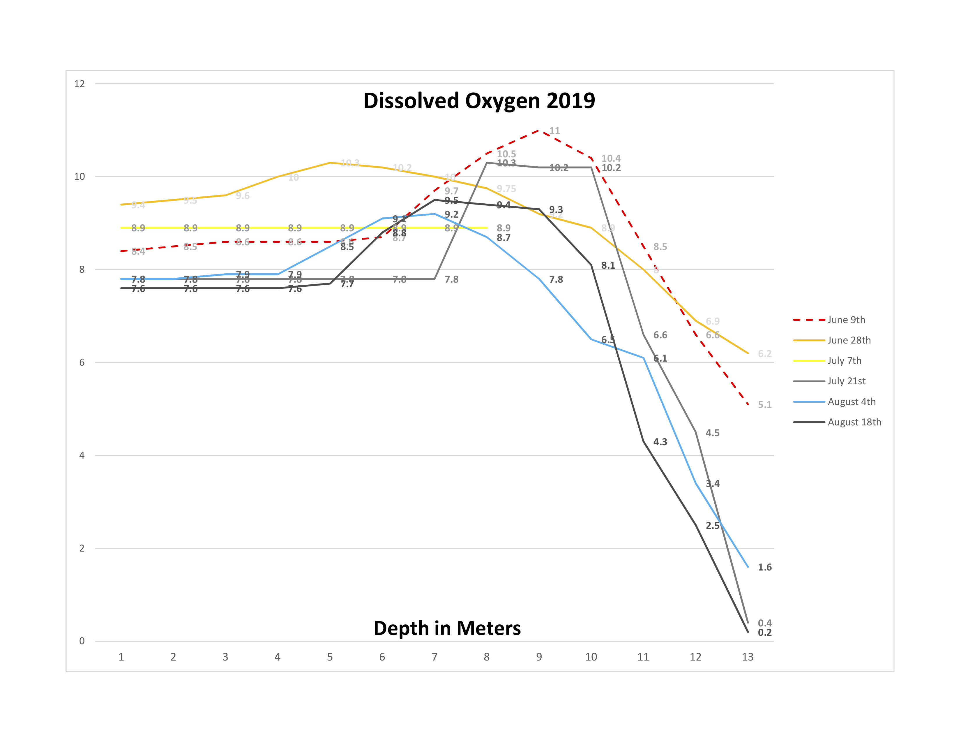 2019 Dissolved Oxygen