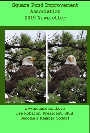 2019 Newsletter