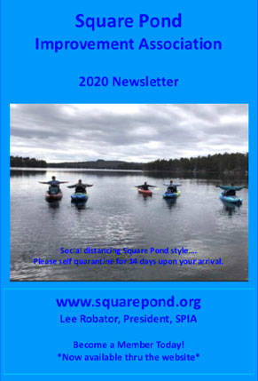 2020 Newsletter