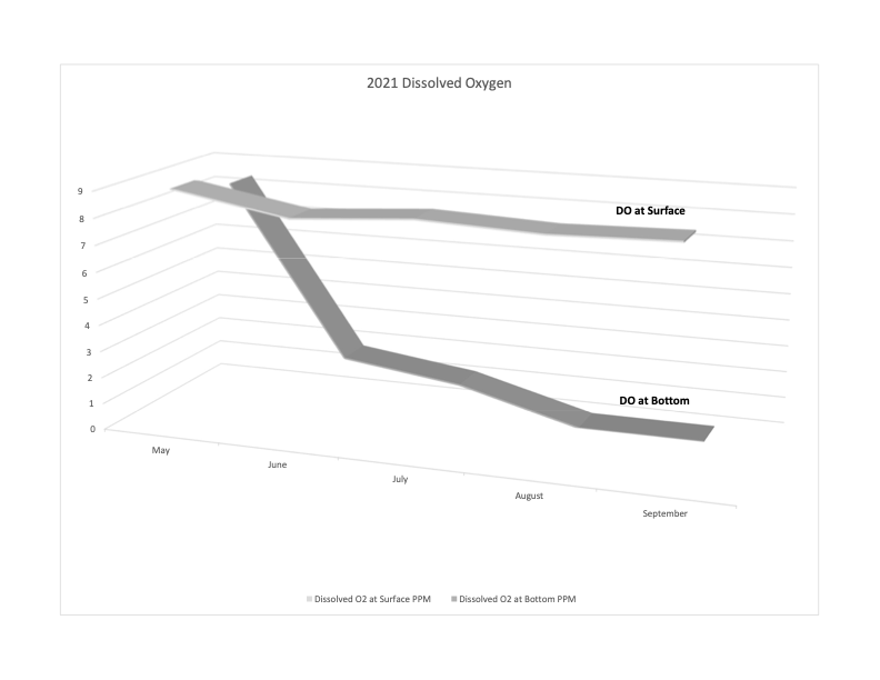 2021 Dissolved Oxygen