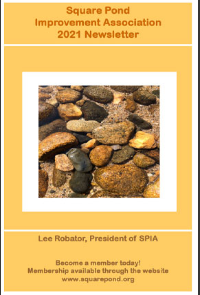 2021 Newsletter