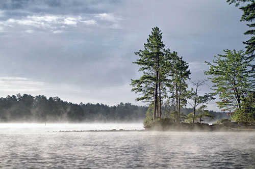 Mist on the Lake