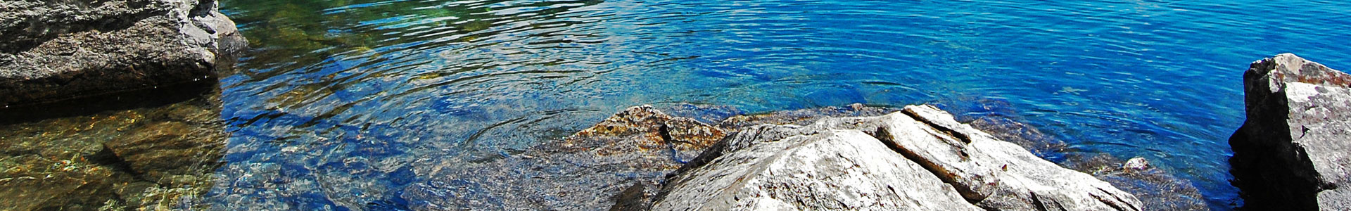 Lake News | Archives