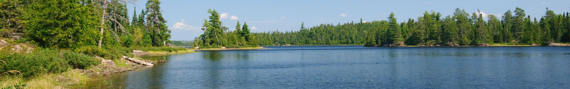 About Milfoil